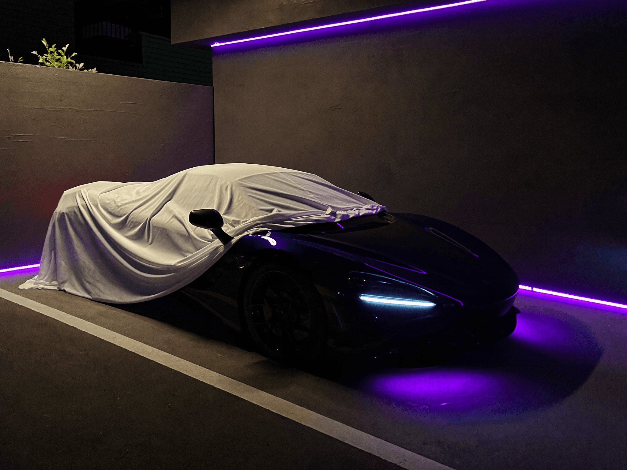 An exotic under a silk cover in a purple-lit private garage